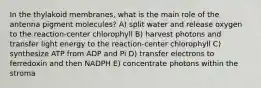 In the thylakoid membranes, what is the main role of the antenna pigment molecules? A) split water and release oxygen to the reaction-center chlorophyll B) harvest photons and transfer light energy to the reaction-center chlorophyll C) synthesize ATP from ADP and Pi D) transfer electrons to ferredoxin and then NADPH E) concentrate photons within the stroma