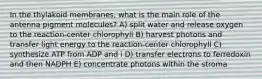 In the thylakoid membranes, what is the main role of the antenna pigment molecules? A) split water and release oxygen to the reaction-center chlorophyll B) harvest photons and transfer light energy to the reaction-center chlorophyll C) synthesize ATP from ADP and i D) transfer electrons to ferredoxin and then NADPH E) concentrate photons within the stroma