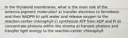 In the thylakoid membranes, what is the main role of the antenna pigment molecules? a) transfer electrons to ferredoxin and then NADPH b) split water and release oxygen to the reaction-center chlorophyll c) synthesize ATP from ADP and Pi d) concentrate photons within the stroma e) harvest photons and transfer light energy to the reaction-center chlorophyll