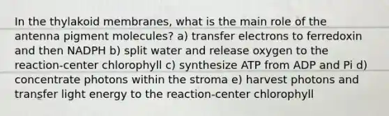 In the thylakoid membranes, what is the main role of the antenna pigment molecules? a) transfer electrons to ferredoxin and then NADPH b) split water and release oxygen to the reaction-center chlorophyll c) synthesize ATP from ADP and Pi d) concentrate photons within the stroma e) harvest photons and transfer light energy to the reaction-center chlorophyll