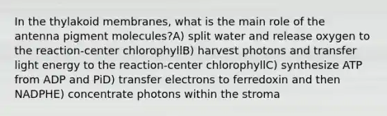 In the thylakoid membranes, what is the main role of the antenna pigment molecules?A) split water and release oxygen to the reaction-center chlorophyllB) harvest photons and transfer light energy to the reaction-center chlorophyllC) synthesize ATP from ADP and PiD) transfer electrons to ferredoxin and then NADPHE) concentrate photons within the stroma