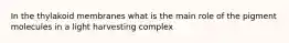 In the thylakoid membranes what is the main role of the pigment molecules in a light harvesting complex
