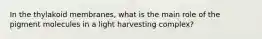In the thylakoid membranes, what is the main role of the pigment molecules in a light harvesting complex?