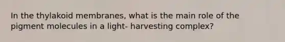 In the thylakoid membranes, what is the main role of the pigment molecules in a light- harvesting complex?
