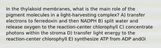 In the thylakoid membranes, what is the main role of the pigment molecules in a light-harvesting complex? A) transfer electrons to ferredoxin and then NADPH B) split water and release oxygen to the reaction-center chlorophyll C) concentrate photons within the stroma D) transfer light energy to the reaction-center chlorophyll E) synthesize ATP from ADP andΟi