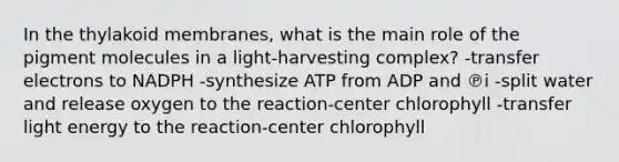 In the thylakoid membranes, what is the main role of the pigment molecules in a light-harvesting complex? -transfer electrons to NADPH -synthesize ATP from ADP and ℗i -split water and release oxygen to the reaction-center chlorophyll -transfer light energy to the reaction-center chlorophyll