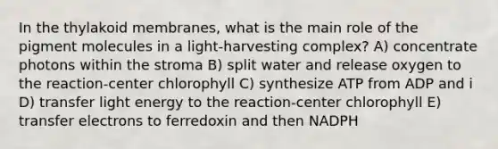 In the thylakoid membranes, what is the main role of the pigment molecules in a light-harvesting complex? A) concentrate photons within the stroma B) split water and release oxygen to the reaction-center chlorophyll C) synthesize ATP from ADP and i D) transfer light energy to the reaction-center chlorophyll E) transfer electrons to ferredoxin and then NADPH