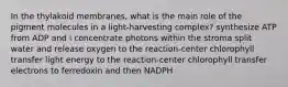 In the thylakoid membranes, what is the main role of the pigment molecules in a light-harvesting complex? synthesize ATP from ADP and i concentrate photons within the stroma split water and release oxygen to the reaction-center chlorophyll transfer light energy to the reaction-center chlorophyll transfer electrons to ferredoxin and then NADPH