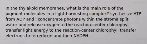 In the thylakoid membranes, what is the main role of the pigment molecules in a light-harvesting complex? synthesize ATP from ADP and i concentrate photons within the stroma split water and release oxygen to the reaction-center chlorophyll transfer light energy to the reaction-center chlorophyll transfer electrons to ferredoxin and then NADPH