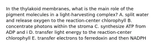 In the thylakoid membranes, what is the main role of the pigment molecules in a light-harvesting complex? A. split water and release oxygen to the reaction-center chlorophyll B. concentrate photons within the stroma C. synthesize ATP from ADP and i D. transfer light energy to the reaction-center chlorophyll E. transfer electrons to ferredoxin and then NADPH