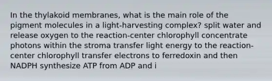 In the thylakoid membranes, what is the main role of the pigment molecules in a light-harvesting complex? split water and release oxygen to the reaction-center chlorophyll concentrate photons within the stroma transfer light energy to the reaction-center chlorophyll transfer electrons to ferredoxin and then NADPH synthesize ATP from ADP and i