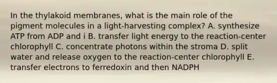 In the thylakoid membranes, what is the main role of the pigment molecules in a light-harvesting complex? A. synthesize ATP from ADP and i B. transfer light energy to the reaction-center chlorophyll C. concentrate photons within the stroma D. split water and release oxygen to the reaction-center chlorophyll E. transfer electrons to ferredoxin and then NADPH