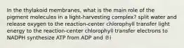 In the thylakoid membranes, what is the main role of the pigment molecules in a light-harvesting complex? split water and release oxygen to the reaction-center chlorophyll transfer light energy to the reaction-center chlorophyll transfer electrons to NADPH synthesize ATP from ADP and ℗i