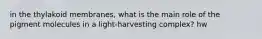 in the thylakoid membranes, what is the main role of the pigment molecules in a light-harvesting complex? hw