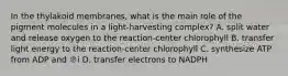 In the thylakoid membranes, what is the main role of the pigment molecules in a light-harvesting complex? A. split water and release oxygen to the reaction-center chlorophyll B. transfer light energy to the reaction-center chlorophyll C. synthesize ATP from ADP and ℗i D. transfer electrons to NADPH