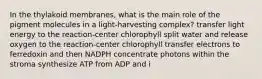 In the thylakoid membranes, what is the main role of the pigment molecules in a light-harvesting complex? transfer light energy to the reaction-center chlorophyll split water and release oxygen to the reaction-center chlorophyll transfer electrons to ferredoxin and then NADPH concentrate photons within the stroma synthesize ATP from ADP and i