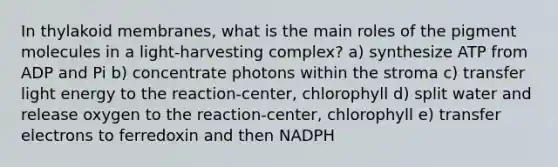 In thylakoid membranes, what is the main roles of the pigment molecules in a light-harvesting complex? a) synthesize ATP from ADP and Pi b) concentrate photons within the stroma c) transfer light energy to the reaction-center, chlorophyll d) split water and release oxygen to the reaction-center, chlorophyll e) transfer electrons to ferredoxin and then NADPH