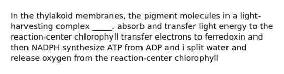 In the thylakoid membranes, the pigment molecules in a light-harvesting complex _____. absorb and transfer light energy to the reaction-center chlorophyll transfer electrons to ferredoxin and then NADPH synthesize ATP from ADP and i split water and release oxygen from the reaction-center chlorophyll