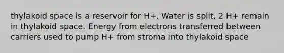 thylakoid space is a reservoir for H+. Water is split, 2 H+ remain in thylakoid space. Energy from electrons transferred between carriers used to pump H+ from stroma into thylakoid space