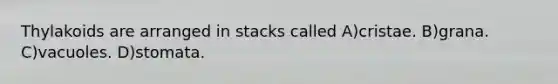 Thylakoids are arranged in stacks called A)cristae. B)grana. C)vacuoles. D)stomata.