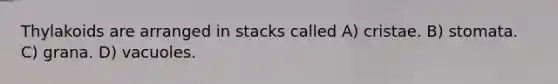 Thylakoids are arranged in stacks called A) cristae. B) stomata. C) grana. D) vacuoles.