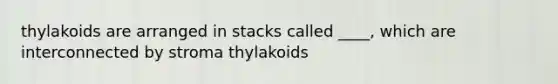 thylakoids are arranged in stacks called ____, which are interconnected by stroma thylakoids