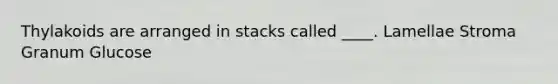 Thylakoids are arranged in stacks called ____. Lamellae Stroma Granum Glucose