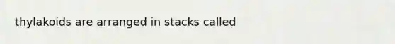 thylakoids are arranged in stacks called