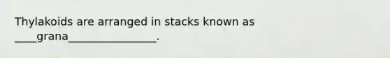 Thylakoids are arranged in stacks known as ____grana________________.