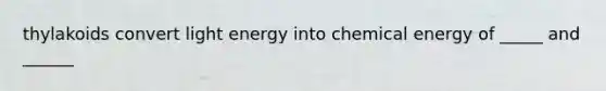 thylakoids convert light energy into chemical energy of _____ and ______