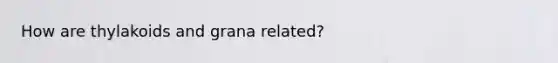 How are thylakoids and grana related?