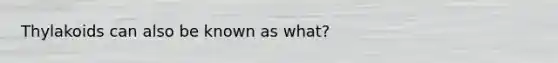 Thylakoids can also be known as what?