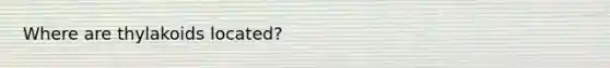 Where are thylakoids located?