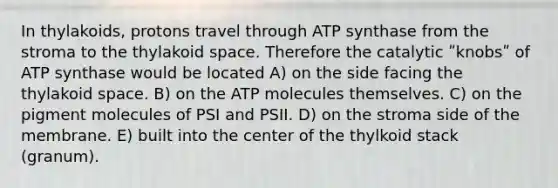 In thylakoids, protons travel through ATP synthase from the stroma to the thylakoid space. Therefore the catalytic ʺknobsʺ of ATP synthase would be located A) on the side facing the thylakoid space. B) on the ATP molecules themselves. C) on the pigment molecules of PSI and PSII. D) on the stroma side of the membrane. E) built into the center of the thylkoid stack (granum).