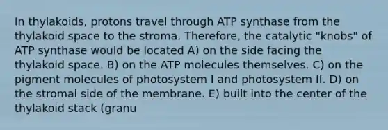 In thylakoids, protons travel through ATP synthase from the thylakoid space to the stroma. Therefore, the catalytic "knobs" of ATP synthase would be located A) on the side facing the thylakoid space. B) on the ATP molecules themselves. C) on the pigment molecules of photosystem I and photosystem II. D) on the stromal side of the membrane. E) built into the center of the thylakoid stack (granu