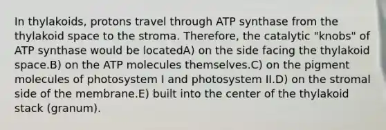 In thylakoids, protons travel through ATP synthase from the thylakoid space to the stroma. Therefore, the catalytic "knobs" of ATP synthase would be locatedA) on the side facing the thylakoid space.B) on the ATP molecules themselves.C) on the pigment molecules of photosystem I and photosystem II.D) on the stromal side of the membrane.E) built into the center of the thylakoid stack (granum).