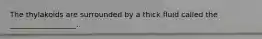 The thylakoids are surrounded by a thick fluid called the __________________.