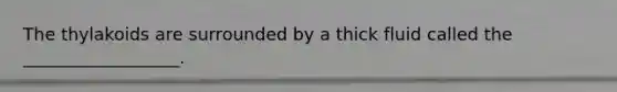 The thylakoids are surrounded by a thick fluid called the __________________.