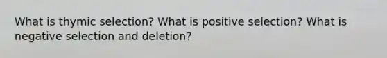 What is thymic selection? What is positive selection? What is negative selection and deletion?