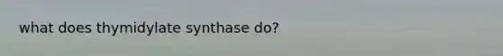 what does thymidylate synthase do?