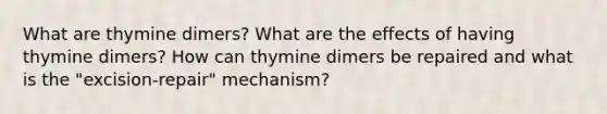 What are thymine dimers? What are the effects of having thymine dimers? How can thymine dimers be repaired and what is the "excision-repair" mechanism?