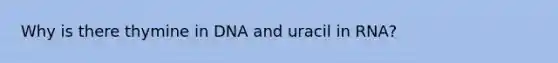 Why is there thymine in DNA and uracil in RNA?