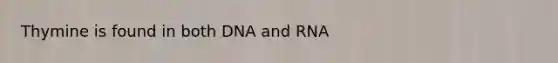 Thymine is found in both DNA and RNA