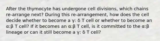 After the thymocyte has undergone cell divisions, which chains re-arrange next? During this re-arrangement, how does the cell decide whether to become a γ: δ T cell or whether to become an α:β T cell? If it becomes an α:β T cell, is it committed to the α:β lineage or can it still become a γ: δ T cell?