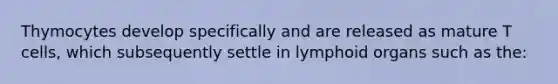 Thymocytes develop specifically and are released as mature T cells, which subsequently settle in lymphoid organs such as the: