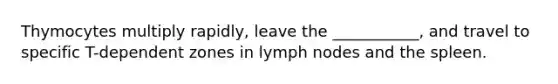 Thymocytes multiply rapidly, leave the ___________, and travel to specific T-dependent zones in lymph nodes and the spleen.