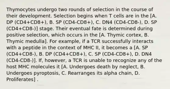 Thymocytes undergo two rounds of selection in the course of their development. Selection begins when T cells are in the [A. DP (CD4+CD8+), B. SP (CD4-CD8+), C. DN4 (CD4-CD8-), D. SP (CD4+CD8-)] stage. Their eventual fate is determined during positive selection, which occurs in the [A. Thymic cortex, B. Thymic medulla]. For example, if a TCR successfully interacts with a peptide in the context of MHC II, it becomes a [A. SP (CD4+CD8-), B. DP (CD4+CD8+), C. SP (CD4-CD8+), D. DN4 (CD4-CD8-)]. If, however, a TCR is unable to recognize any of the host MHC molecules it [A. Undergoes death by neglect, B. Undergoes pyroptosis, C. Rearranges its alpha chain, D. Proliferates] .