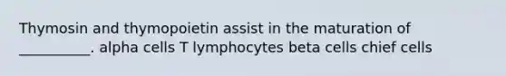 Thymosin and thymopoietin assist in the maturation of __________. alpha cells T lymphocytes beta cells chief cells