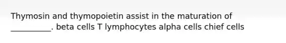 Thymosin and thymopoietin assist in the maturation of __________. beta cells T lymphocytes alpha cells chief cells