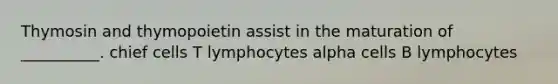 Thymosin and thymopoietin assist in the maturation of __________. chief cells T lymphocytes alpha cells B lymphocytes